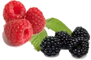 Picture - (max-width: 767px)