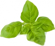 Picture - (max-width: 767px)
