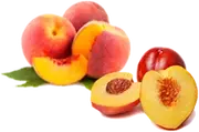 Picture - (max-width: 767px)