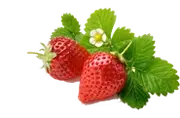 Picture - (min-width: 768px)
