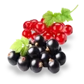 Picture - (min-width: 768px)