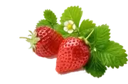 Picture - (max-width: 767px)
