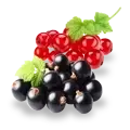 Picture - (max-width: 767px)