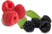 Picture - (max-width: 767px)