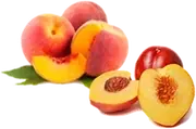 Picture - (max-width: 767px)