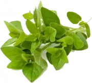Picture - (min-width: 768px)
